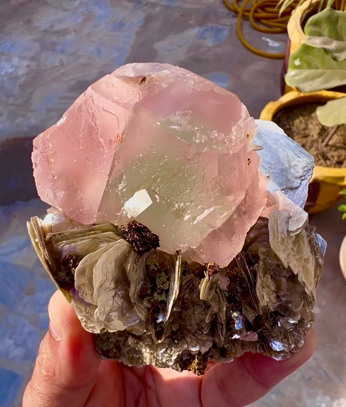 Fluorite from Pakistan, Gilgit-Baltistan, Nagar District, Chumar Bakhoor - image 6