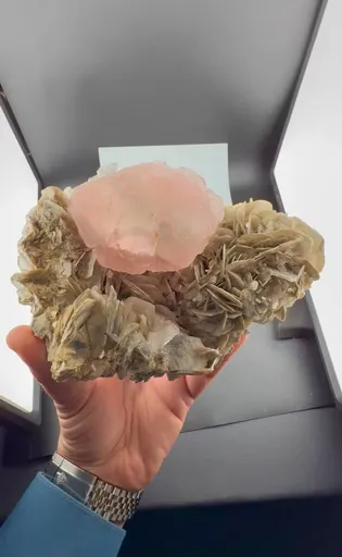 specimen video
