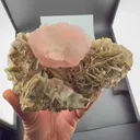 specimen video