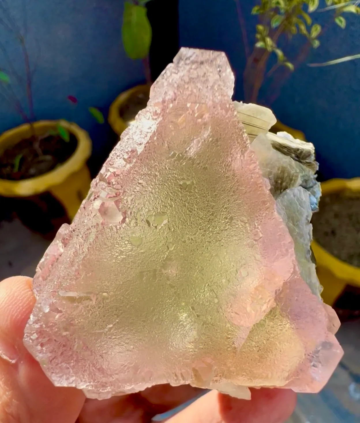 Fluorite from Pakistan, Gilgit-Baltistan, Nagar District, Chumar Bakhoor - image 6