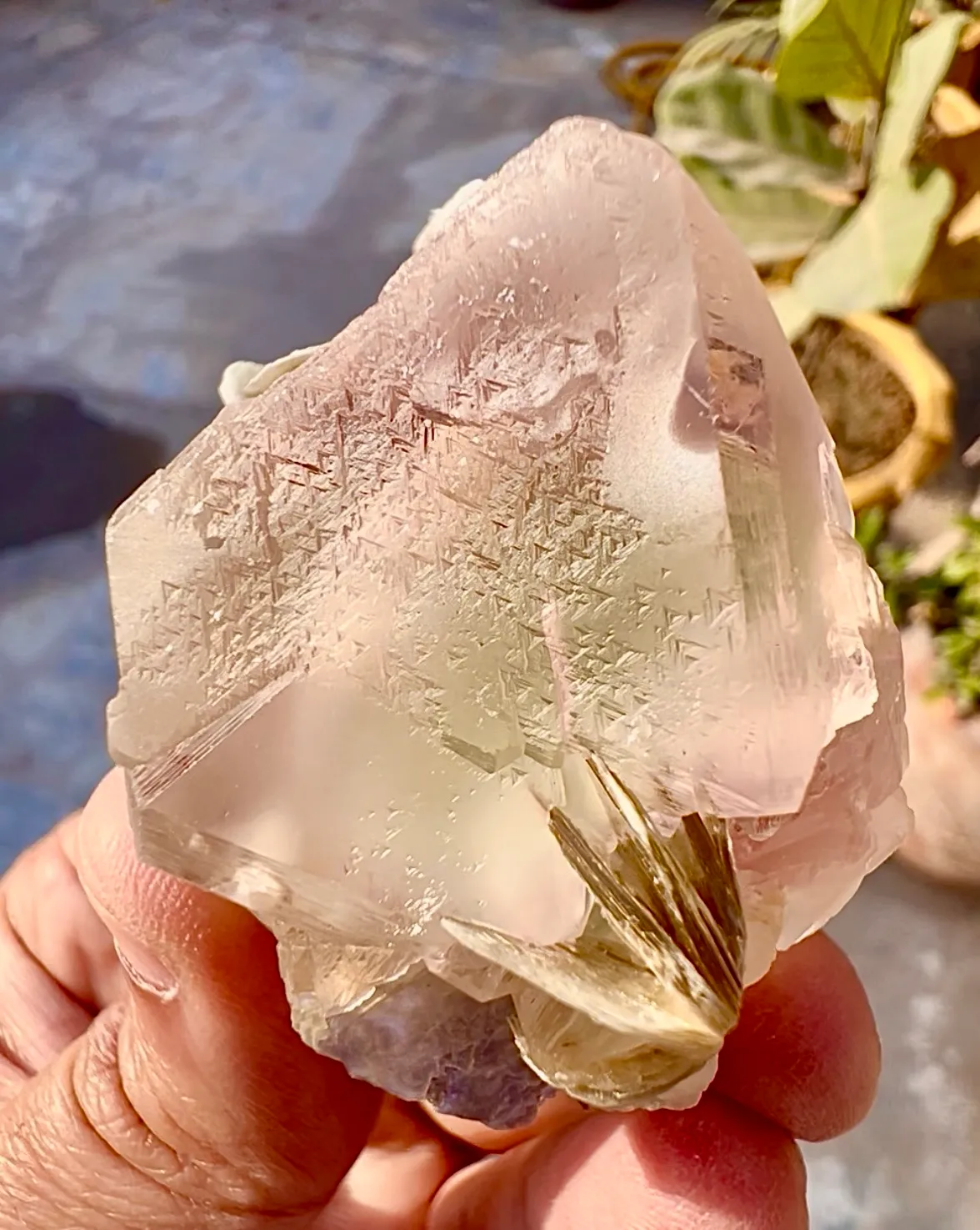 Fluorite from Pakistan, Gilgit-Baltistan, Nagar District, Chumar Bakhoor - image 6