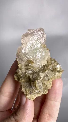 specimen video