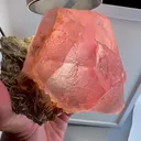 specimen video