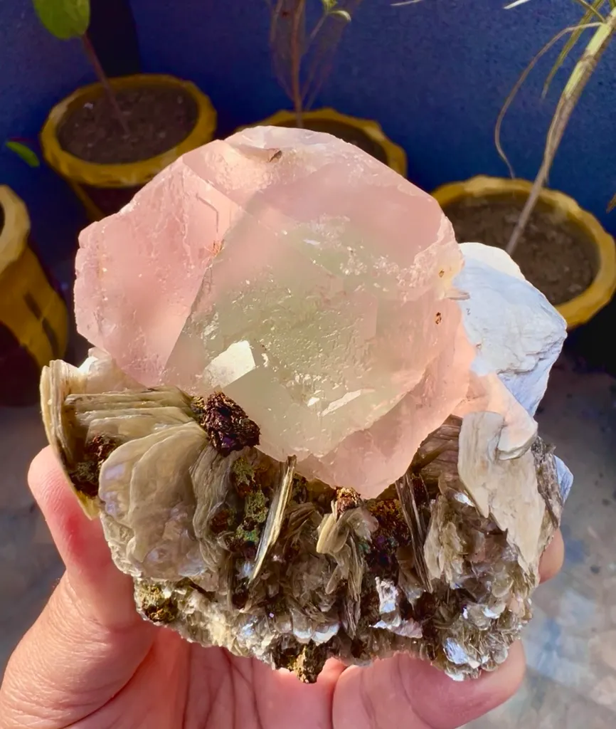 Fluorite from Pakistan, Gilgit-Baltistan, Nagar District, Chumar Bakhoor image