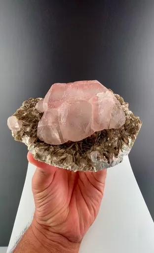 specimen video