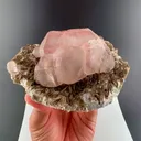 specimen video