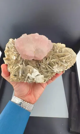 specimen video