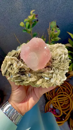 specimen video