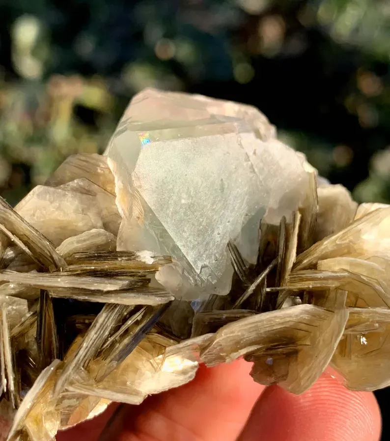 Fluorite from Pakistan, Gilgit-Baltistan, Skardu District, Shigar Valley - image 4