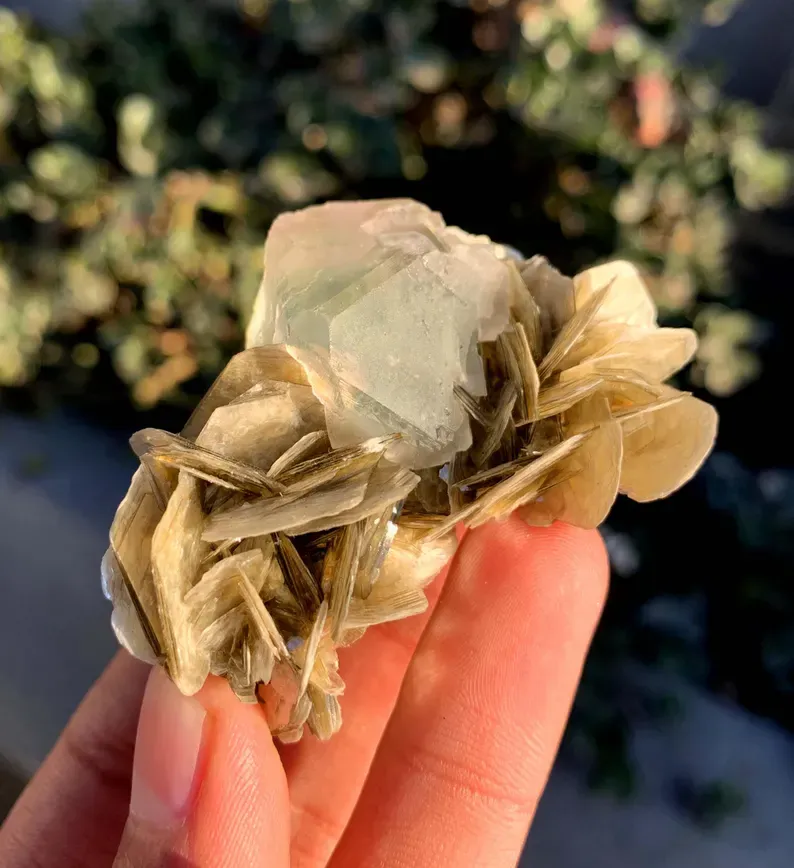 Fluorite from Pakistan, Gilgit-Baltistan, Skardu District, Shigar Valley - image 6