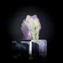specimen video