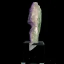specimen video