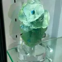 specimen video