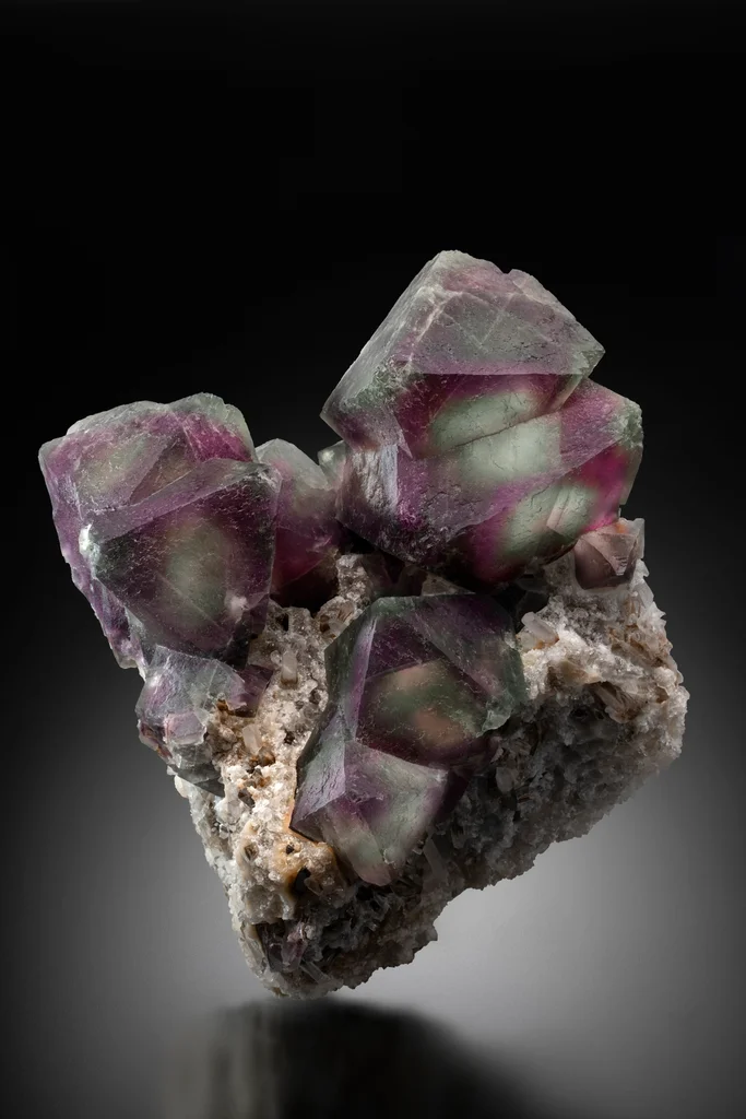 Fluorite from Sauberg Mine, Ehrenfriedersdorf, Erzgebirgskreis, Saxony, Germany image