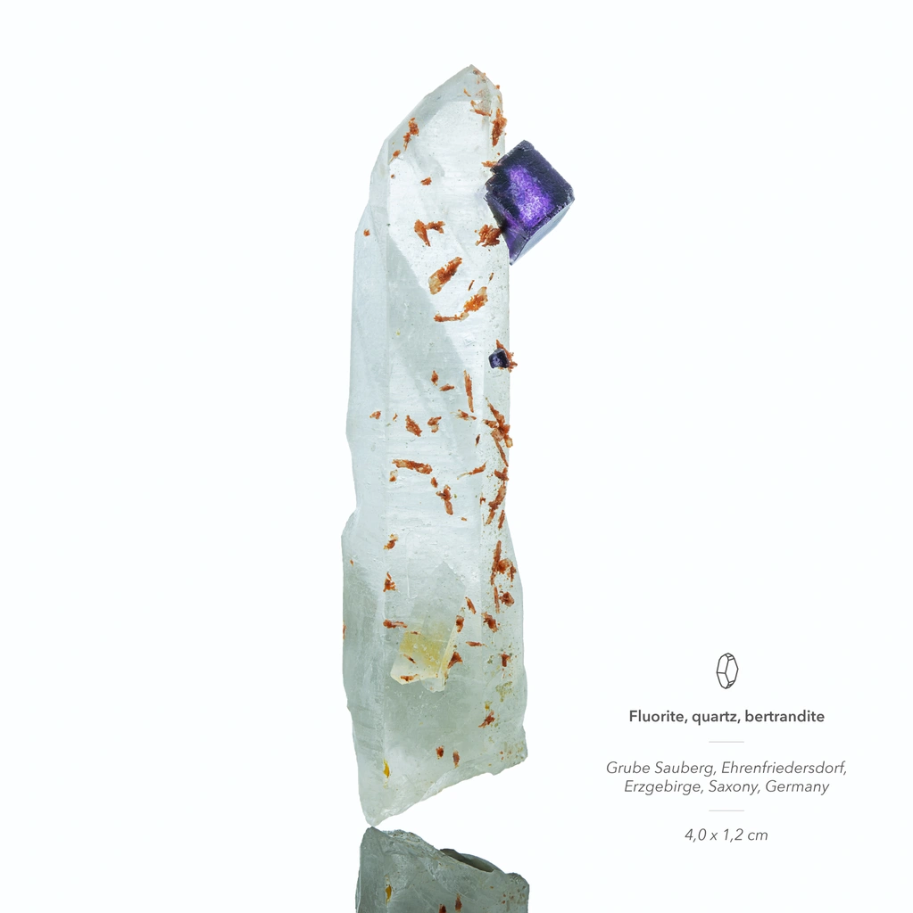 Fluorite from Sauberg Mine, Ehrenfriedersdorf, Erzgebirgskreis, Saxony, Germany image