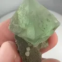 specimen video