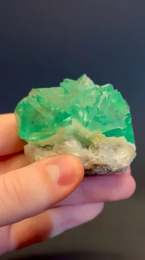 specimen video