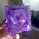 specimen video