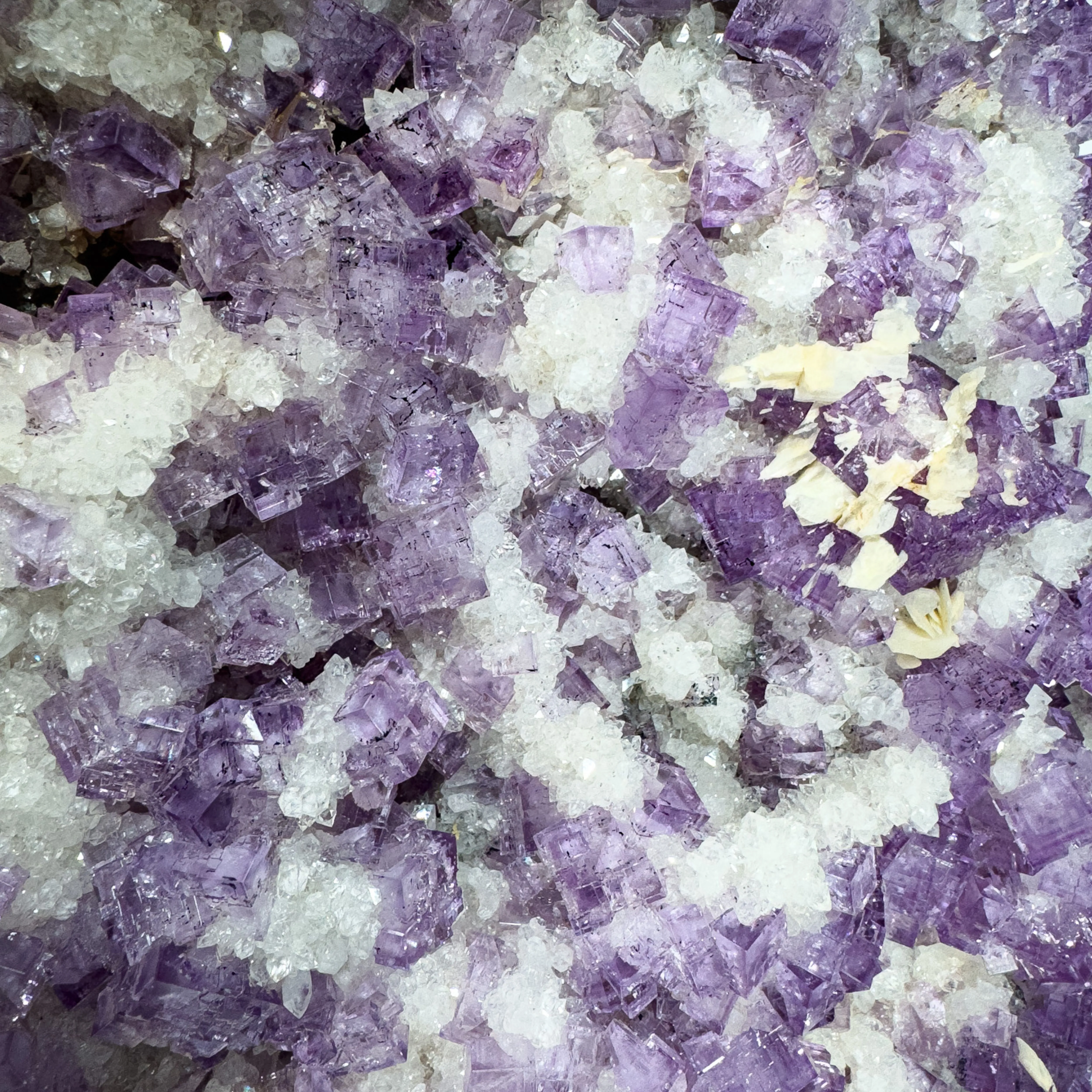 Fluorite from Spain, Asturias, Berbes mining area, Berbes - image 2