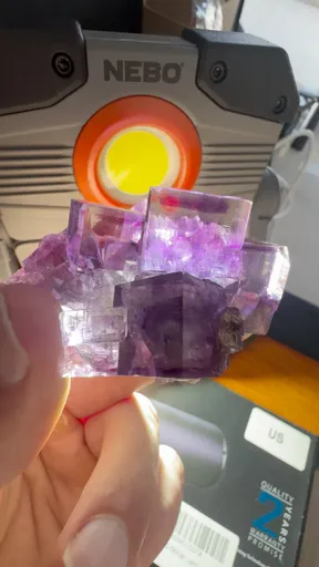 specimen video