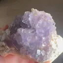 specimen video