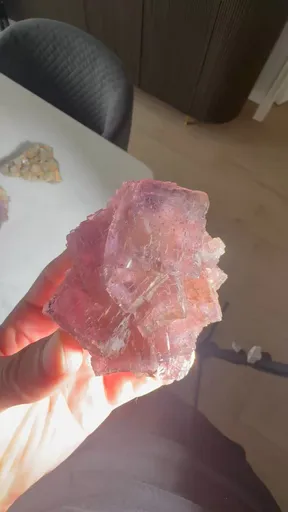 specimen video