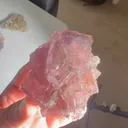 specimen video