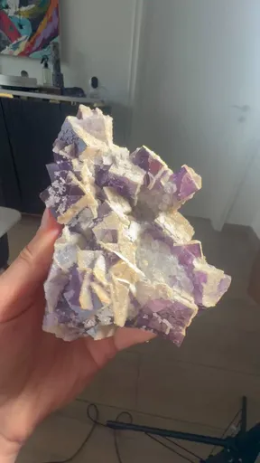 specimen video