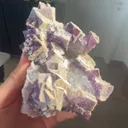 specimen video