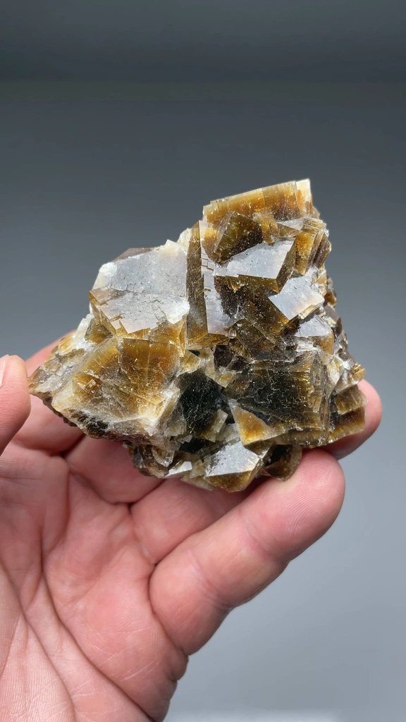 Fluorite from Stoneco White Rock Quarry, Clay Center, Ohio, USA - image 2