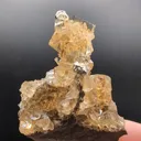 specimen video
