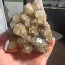 specimen video