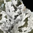 Fluorite from UK, England, County Durham, Rogerley Quarry, Diana Maria Mine - image 2