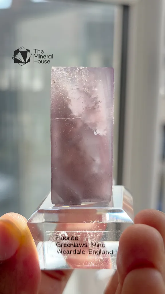 specimen video