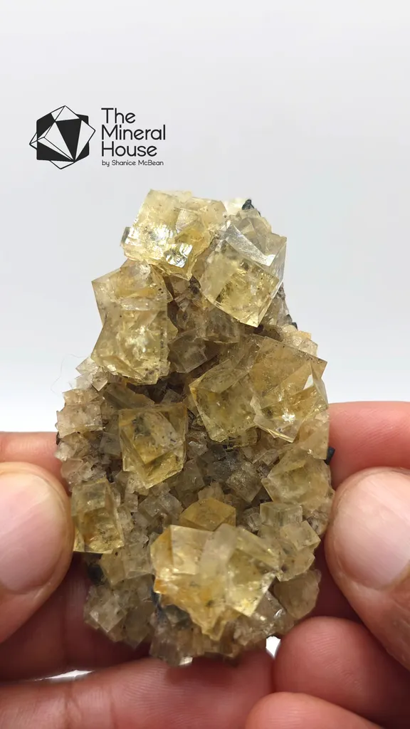 Fluorite from UK, England, Hilton Mine image
