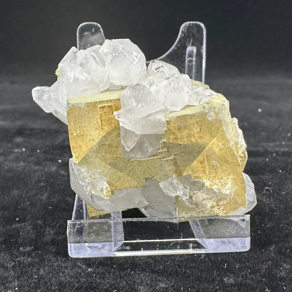 Fluorite from UK, England, Westgate, Cambokeels Mine - image 2