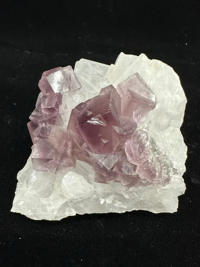 Fluorite from UK, England, Westgate, Cambokeels Mine image