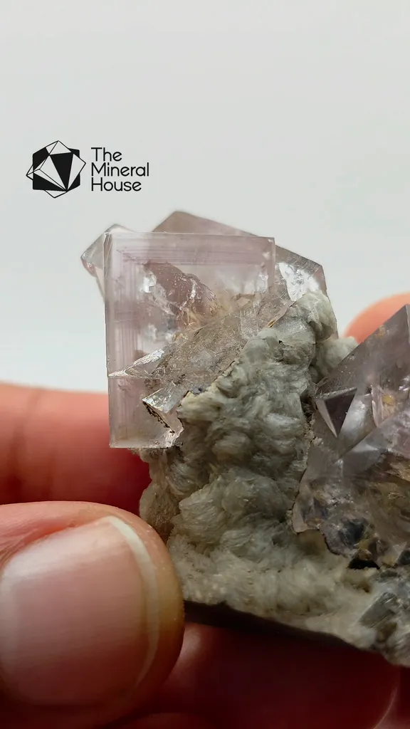 Fluorite from UK, England, Westgate, Heights Quarry image