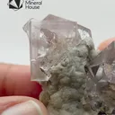 specimen video