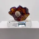 specimen video