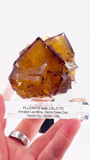 specimen video