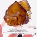 specimen video
