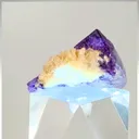 specimen video