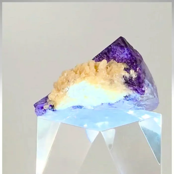 specimen video