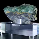 specimen video