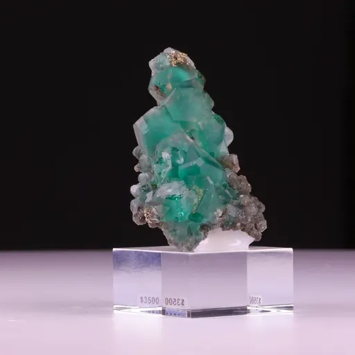 specimen video