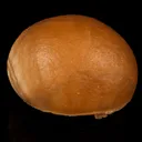 Fluorite Huge Ball Natural Mineral Specimen - image 1