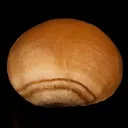 Fluorite Huge Ball Natural Mineral Specimen - image 4