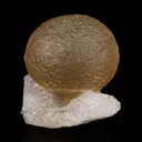 Fluorite Huge balls on MM Quartz Natural Mineral Specimen - image 7