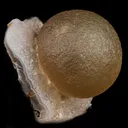 Fluorite Huge balls on MM Quartz Natural Mineral Specimen - image 3